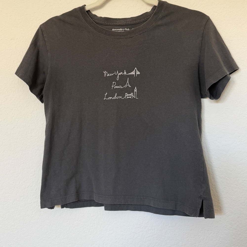 Abercrombie & Fitch Gray Embroidered Places Baby Tee